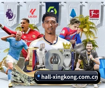 hall-xingkong.com.cn APP